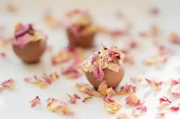 Pedalada10 Kasino Android/iOS Sovellus